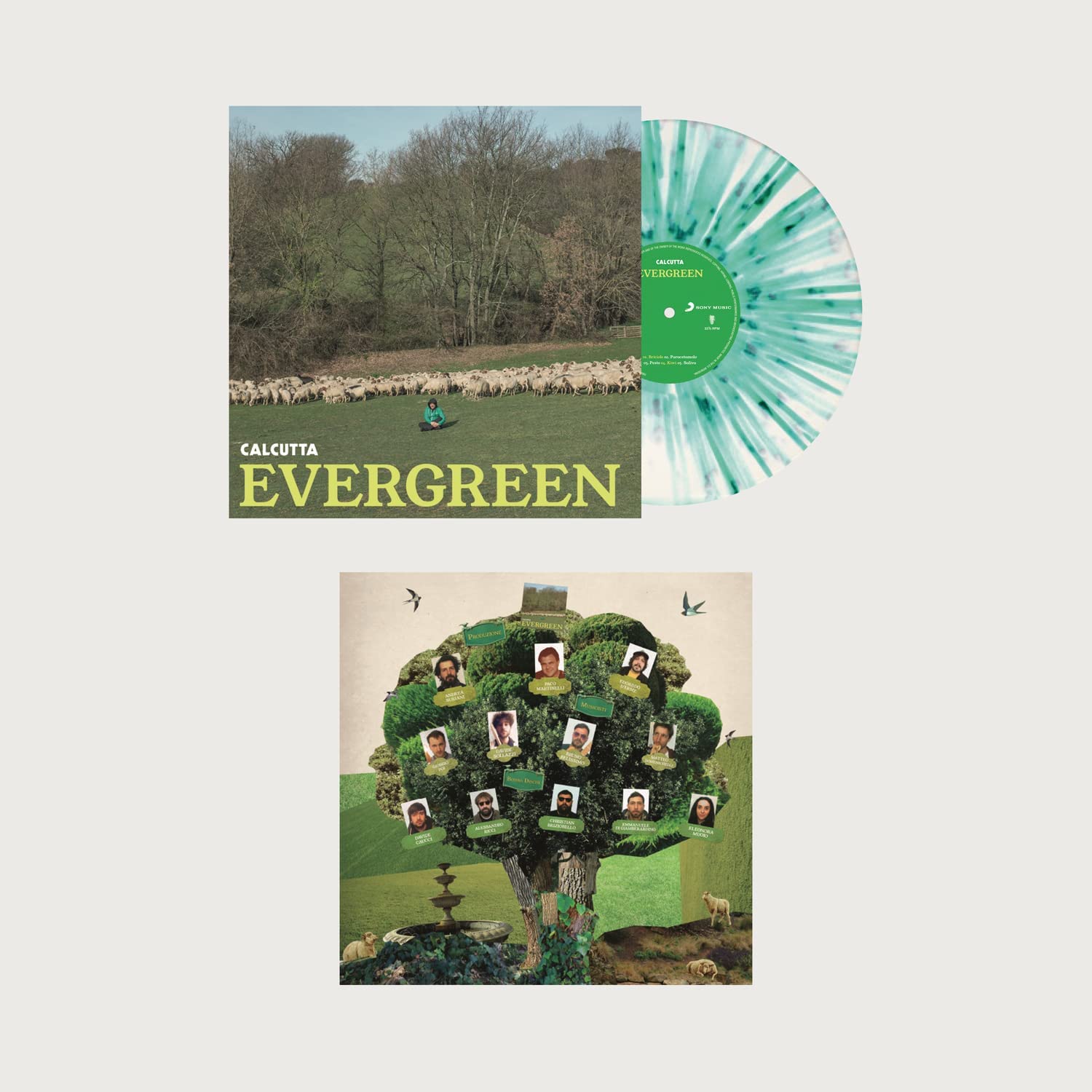 Evergreen  Limited Edition