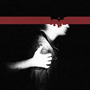 The Slip limited edition cd+dvd
